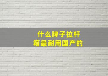 什么牌子拉杆箱最耐用国产的