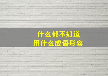 什么都不知道用什么成语形容