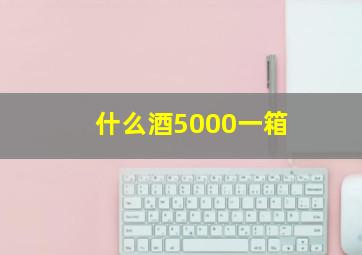 什么酒5000一箱