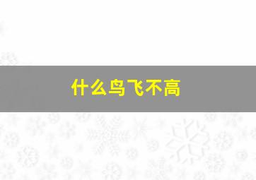 什么鸟飞不高