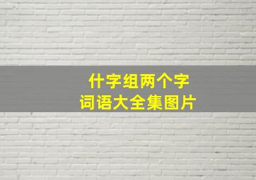 什字组两个字词语大全集图片