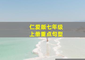 仁爱版七年级上册重点句型