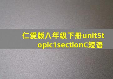 仁爱版八年级下册unit5topic1sectionC短语