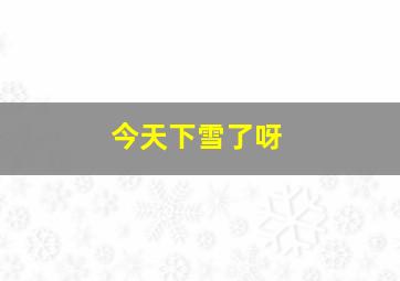 今天下雪了呀