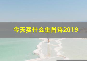 今天买什么生肖诗2019