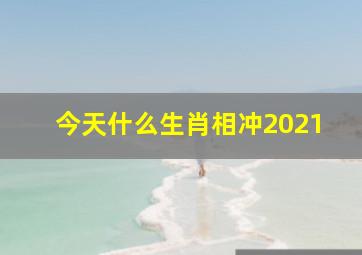 今天什么生肖相冲2021