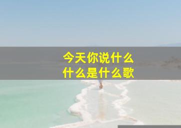 今天你说什么什么是什么歌