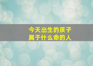 今天出生的孩子属于什么命的人