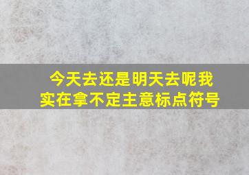 今天去还是明天去呢我实在拿不定主意标点符号