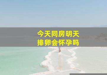 今天同房明天排卵会怀孕吗