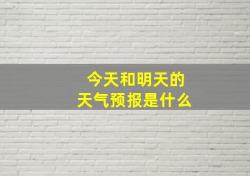 今天和明天的天气预报是什么