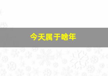 今天属于啥年