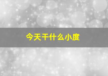 今天干什么小度