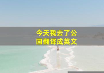 今天我去了公园翻译成英文