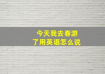 今天我去春游了用英语怎么说