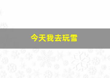 今天我去玩雪