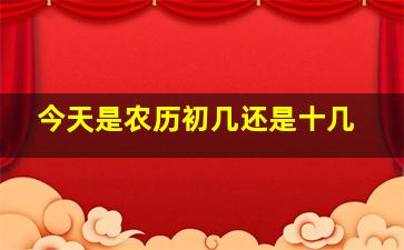 今天是农历初几还是十几