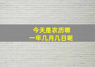 今天是农历哪一年几月几日呢