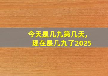 今天是几九第几天,现在是几九了2025