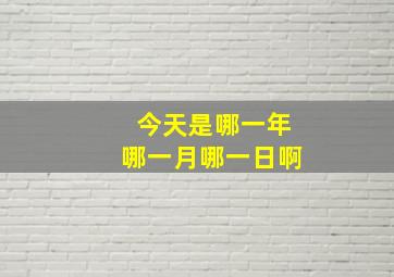 今天是哪一年哪一月哪一日啊