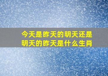 今天是昨天的明天还是明天的昨天是什么生肖