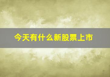 今天有什么新股票上市