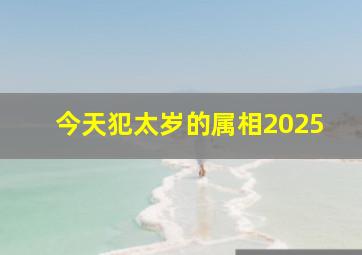 今天犯太岁的属相2025