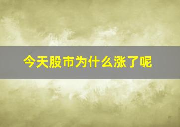 今天股市为什么涨了呢