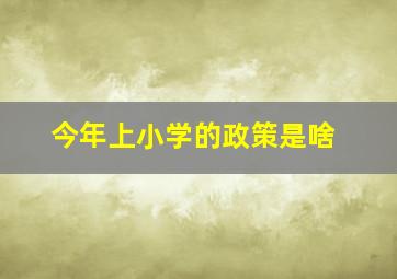 今年上小学的政策是啥