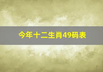 今年十二生肖49码表