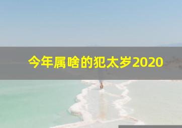 今年属啥的犯太岁2020