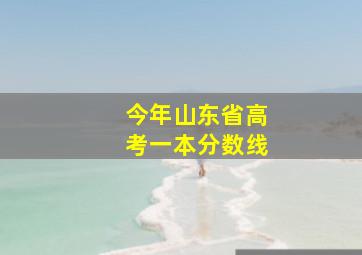 今年山东省高考一本分数线