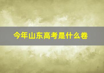 今年山东高考是什么卷