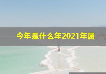 今年是什么年2021年属