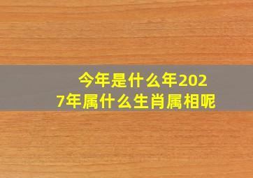 今年是什么年2027年属什么生肖属相呢