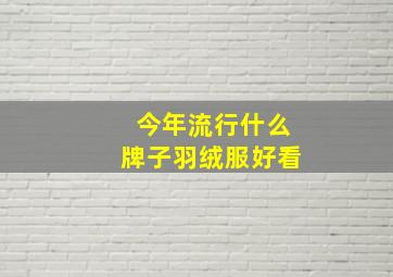 今年流行什么牌子羽绒服好看