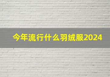 今年流行什么羽绒服2024