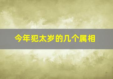 今年犯太岁的几个属相