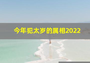 今年犯太岁的属相2022