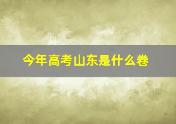 今年高考山东是什么卷