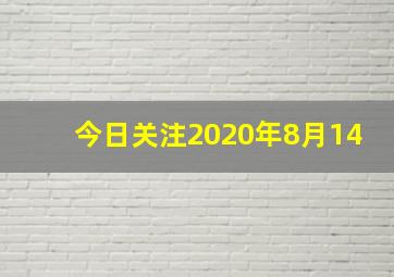 今日关注2020年8月14