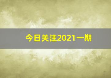 今日关注2021一期