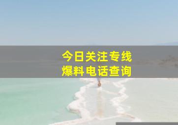 今日关注专线爆料电话查询