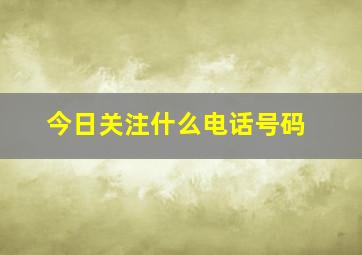 今日关注什么电话号码