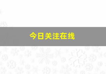 今日关注在线