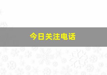 今日关注电话