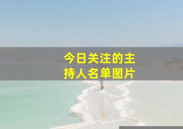 今日关注的主持人名单图片