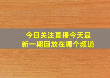 今日关注直播今天最新一期回放在哪个频道