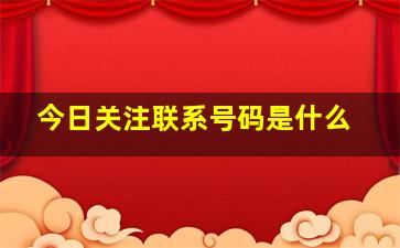 今日关注联系号码是什么