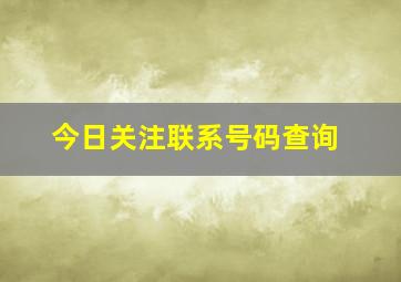 今日关注联系号码查询